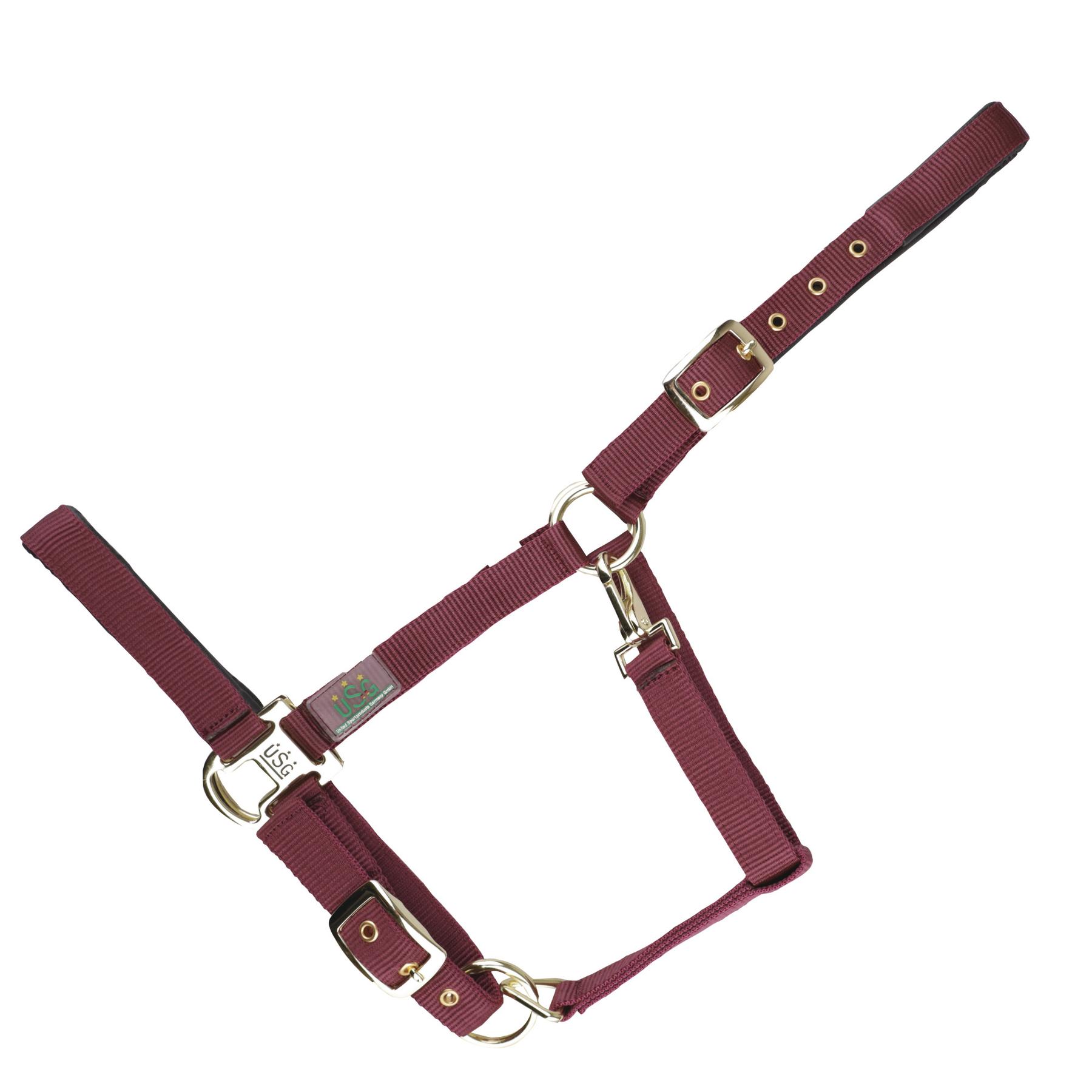 product/u/s/usg_15050006-141-400_burgundy_1.jpg