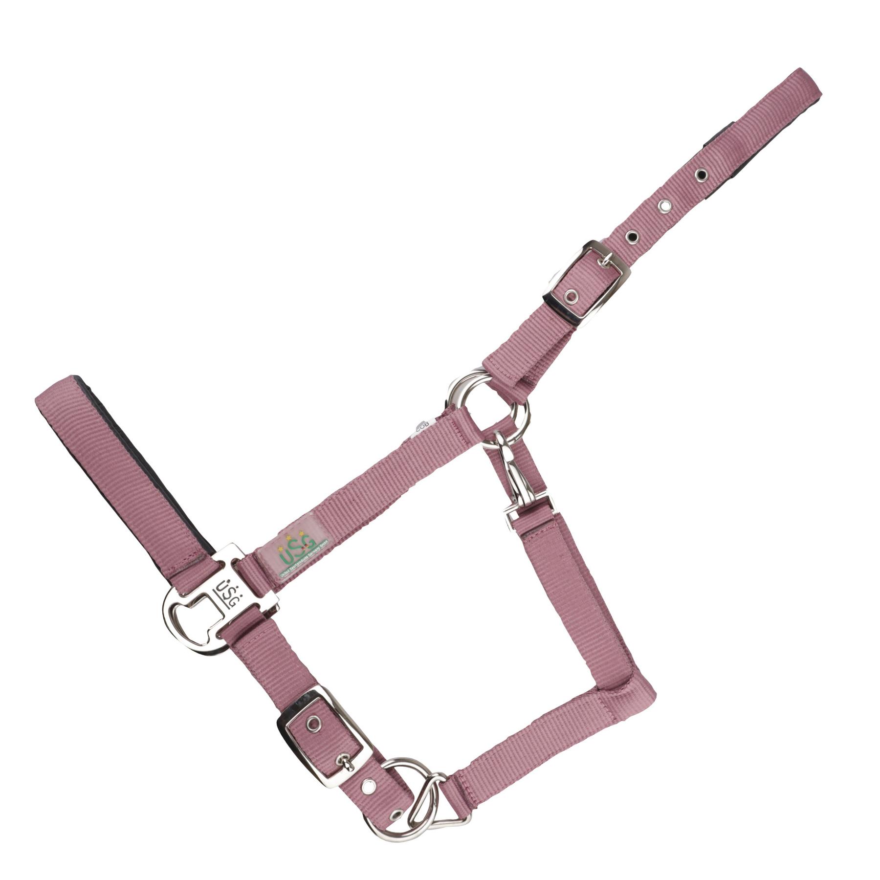 product/u/s/usg_15050006-421-400_paisley-rose_1.jpg
