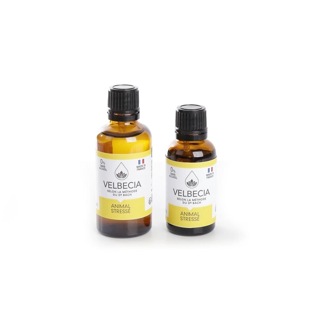 product/v/e/velbecia_3004551_0.jpg