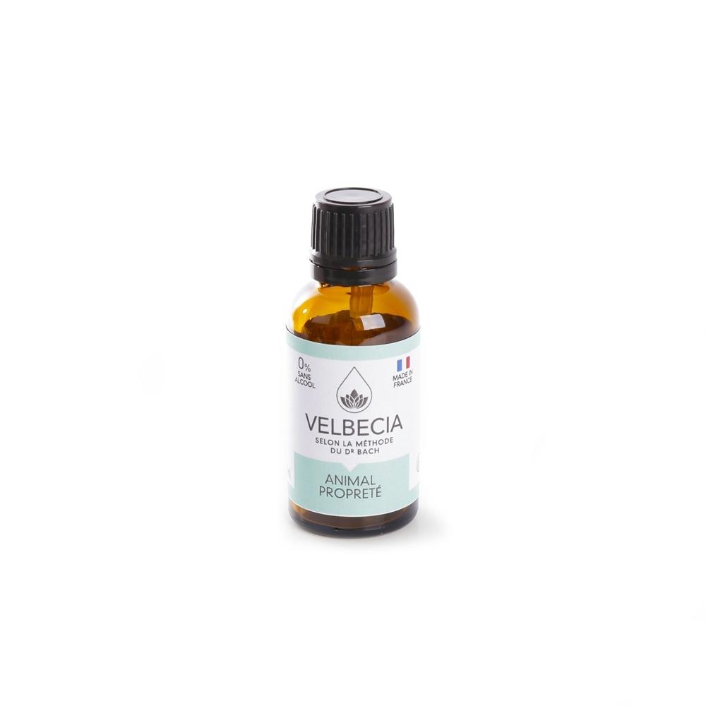 product/v/e/velbecia_3004563.jpg