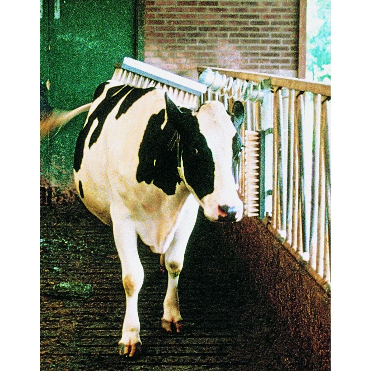 product/v/i/vink_123325_argente_1.jpg