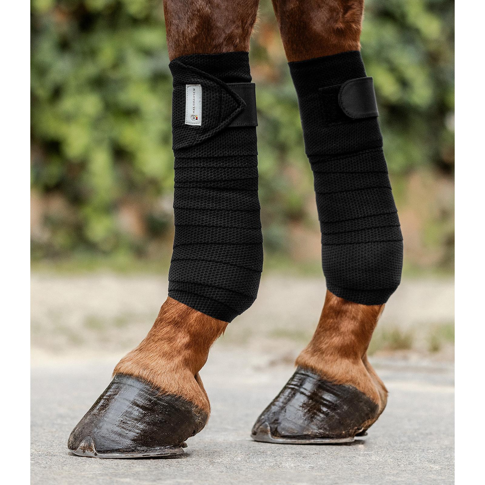 product/w/a/waldhausen_1289501_2.jpg