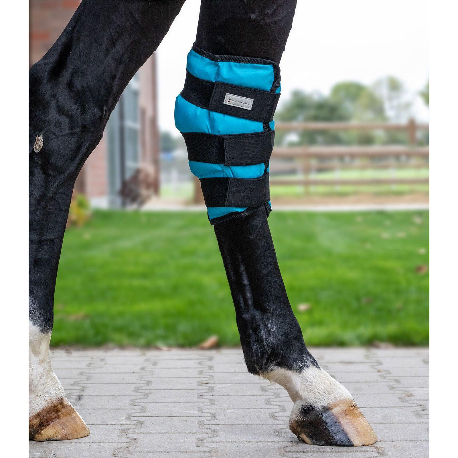 product/w/a/waldhausen_3863157-wb_noir-bleu_2.jpg
