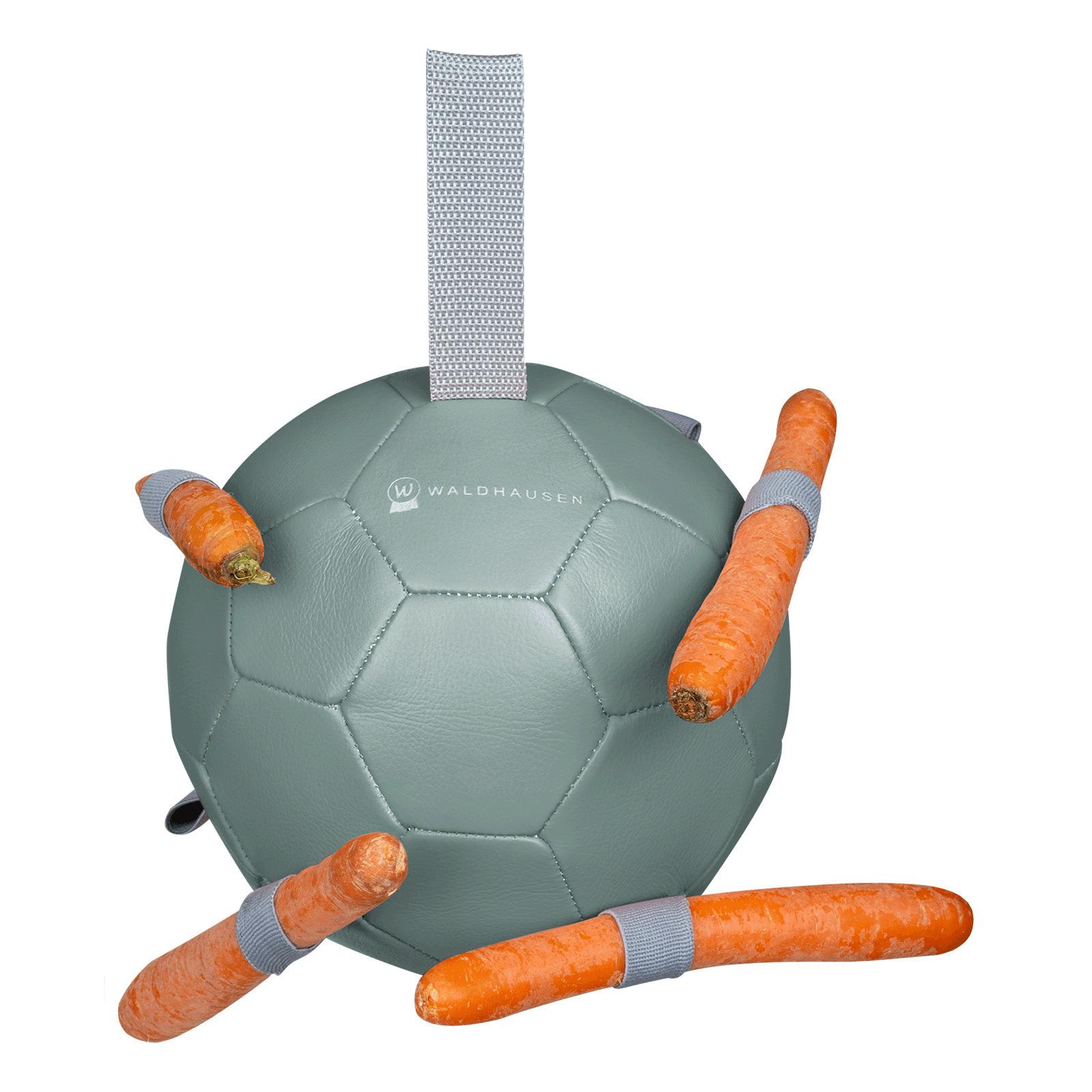 product/w/a/waldhausen_388175.jpg