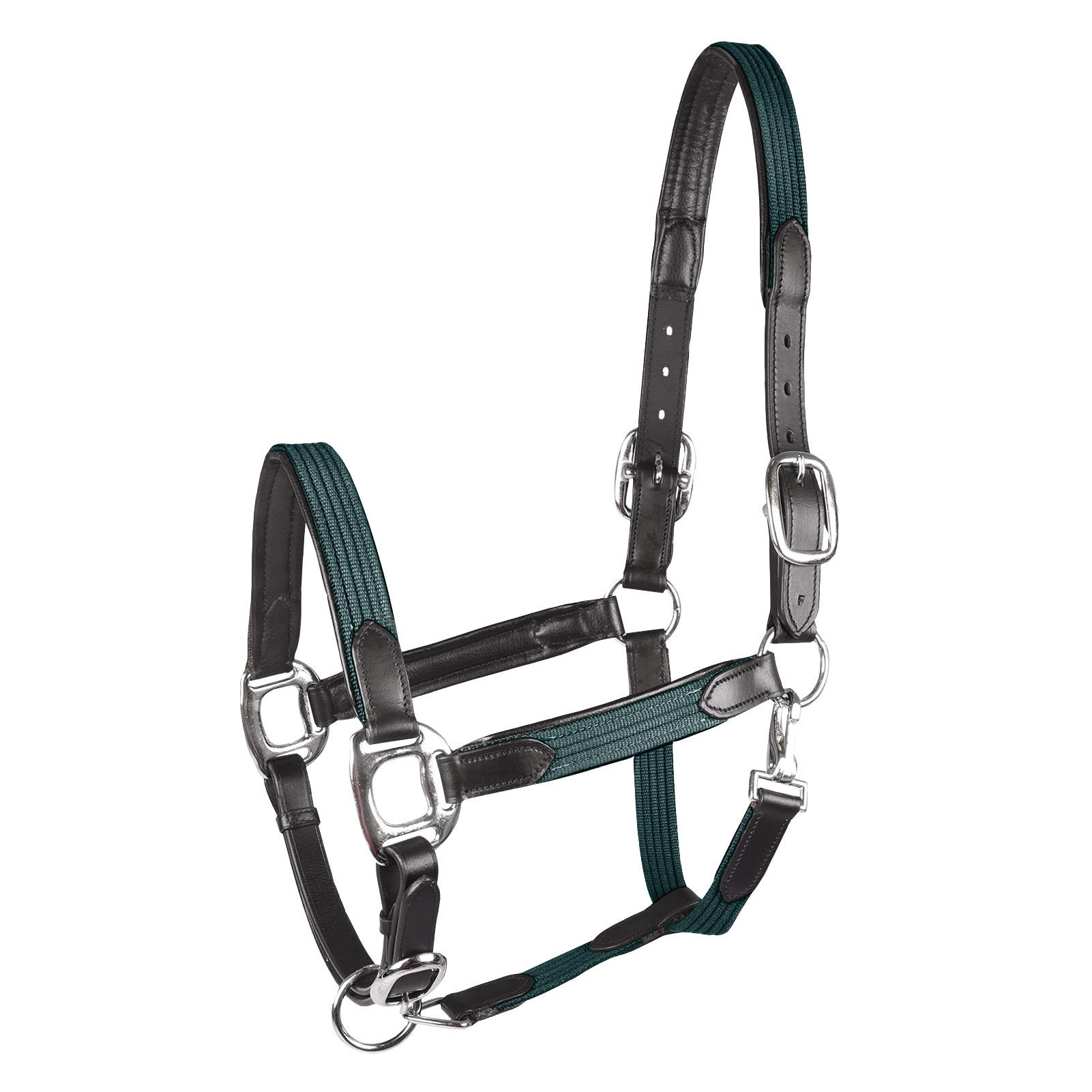 product/w/a/waldhausen_50436364_1.jpg