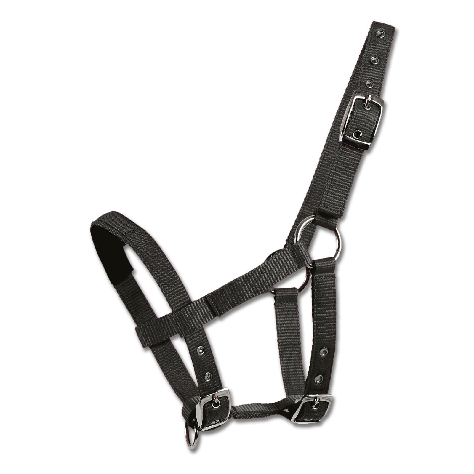 product/w/a/waldhausen_504501_noir_1.jpg