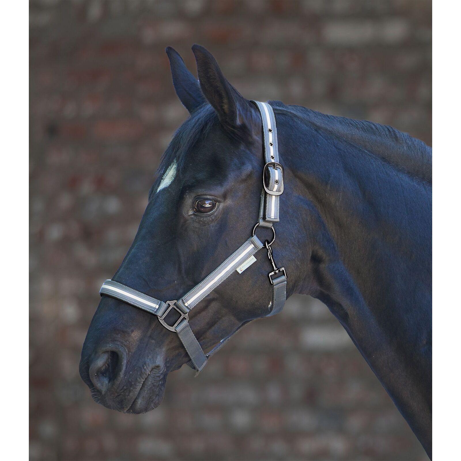 product/w/a/waldhausen_5048110-vb_gris_1.jpg
