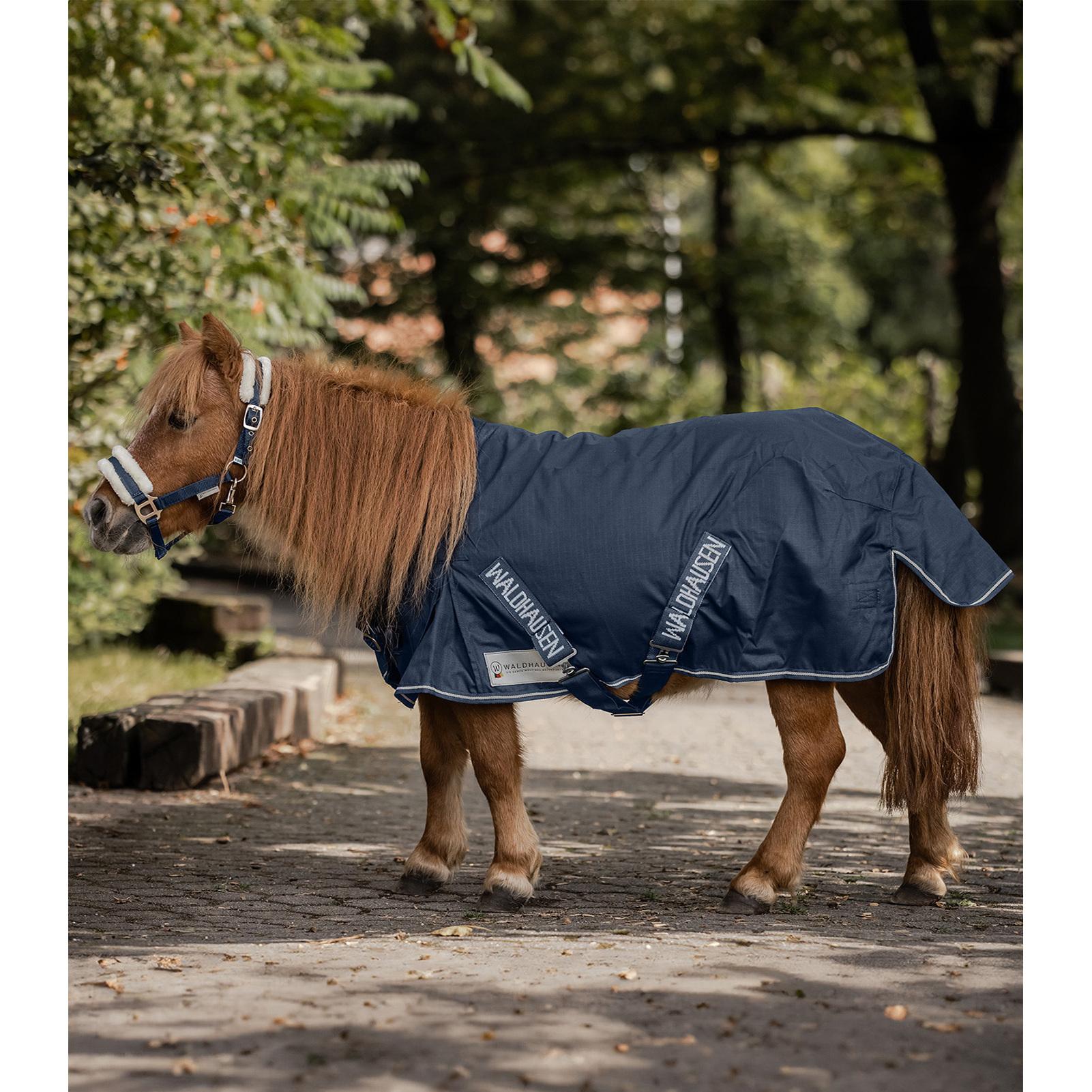 product/w/a/waldhausen_80043105.jpg