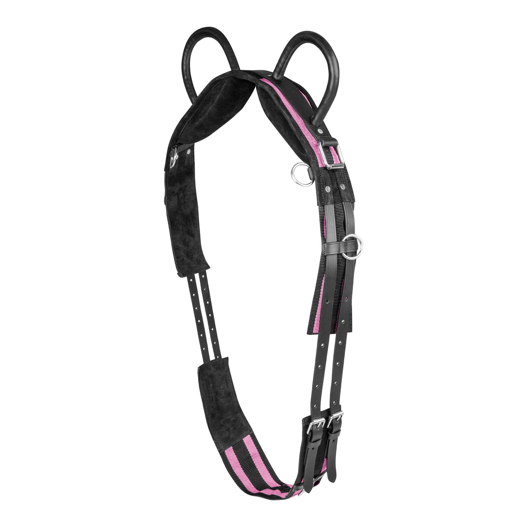 product/w/a/waldhausen_8114463_1.jpg