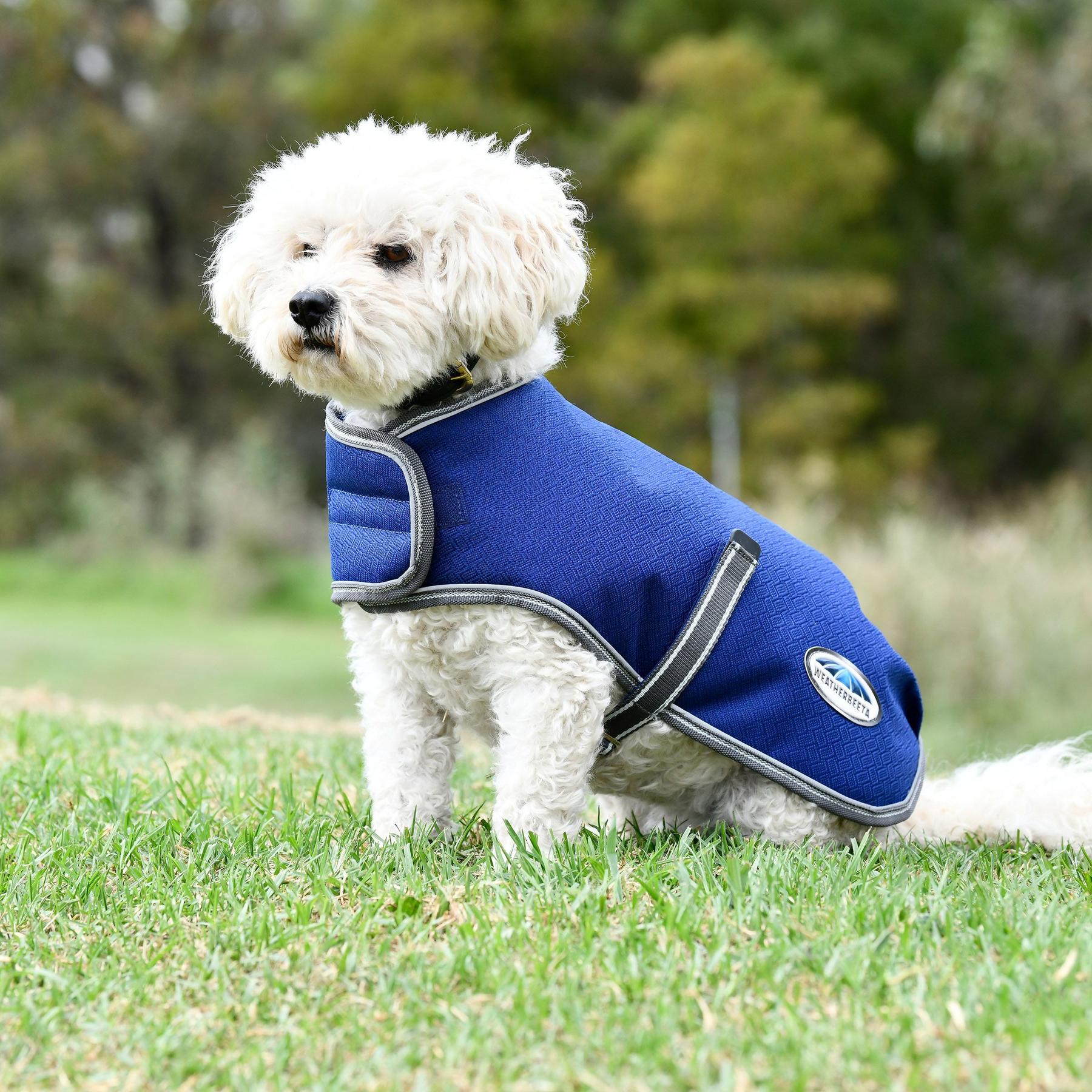 product/w/e/weatherbeeta_1003455037_3.jpg
