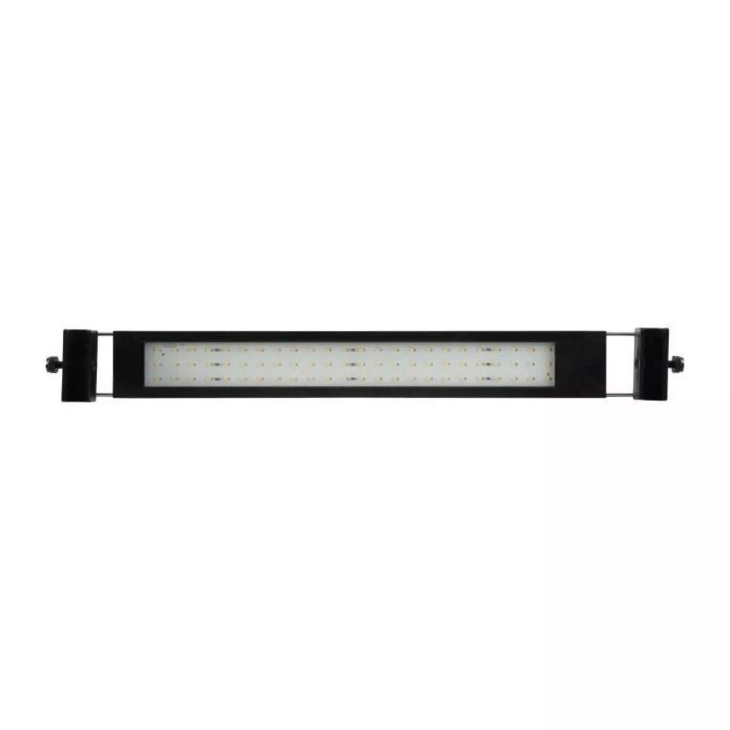 product/z/o/zolux_311720_noir_2.jpg