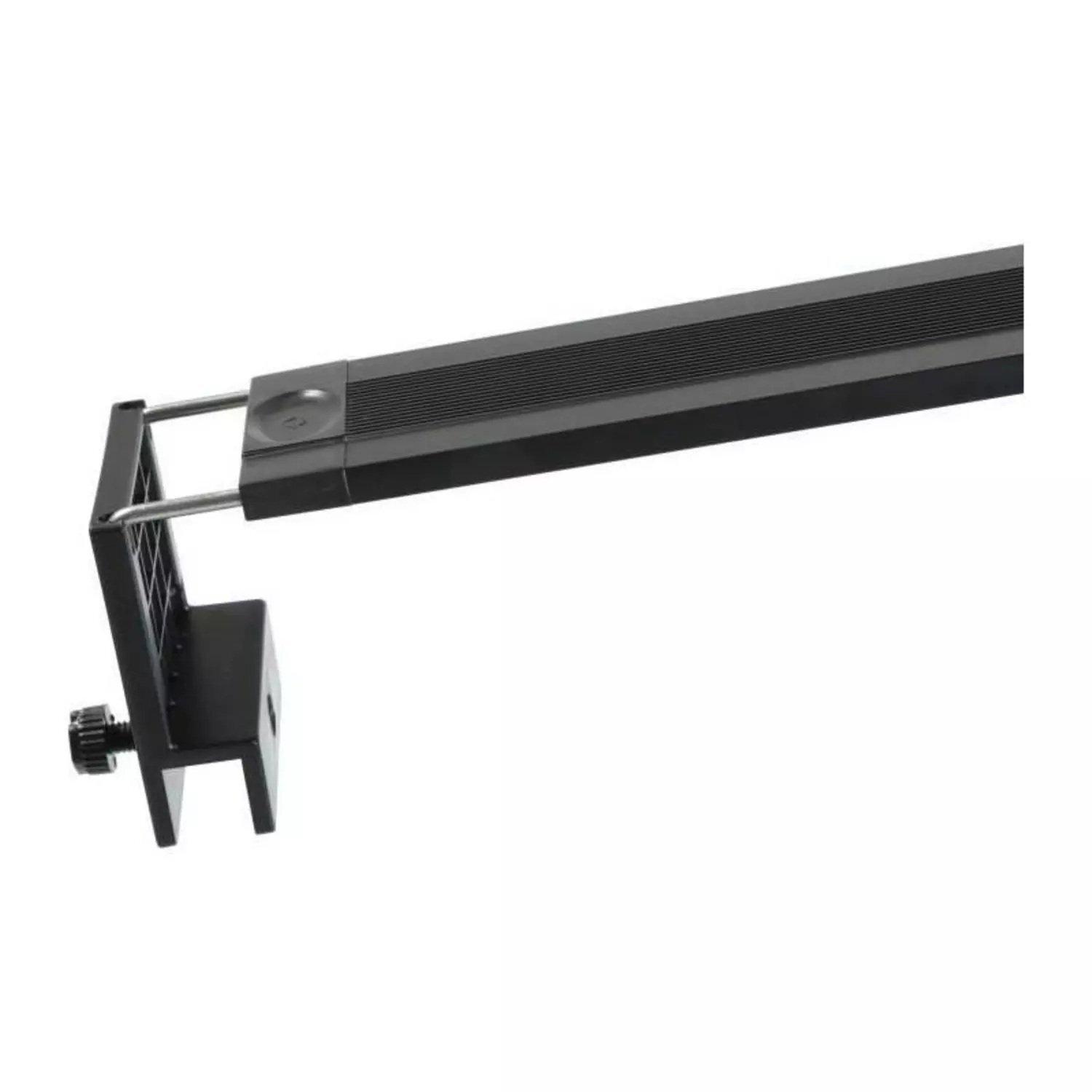 product/z/o/zolux_311720_noir_3.jpg