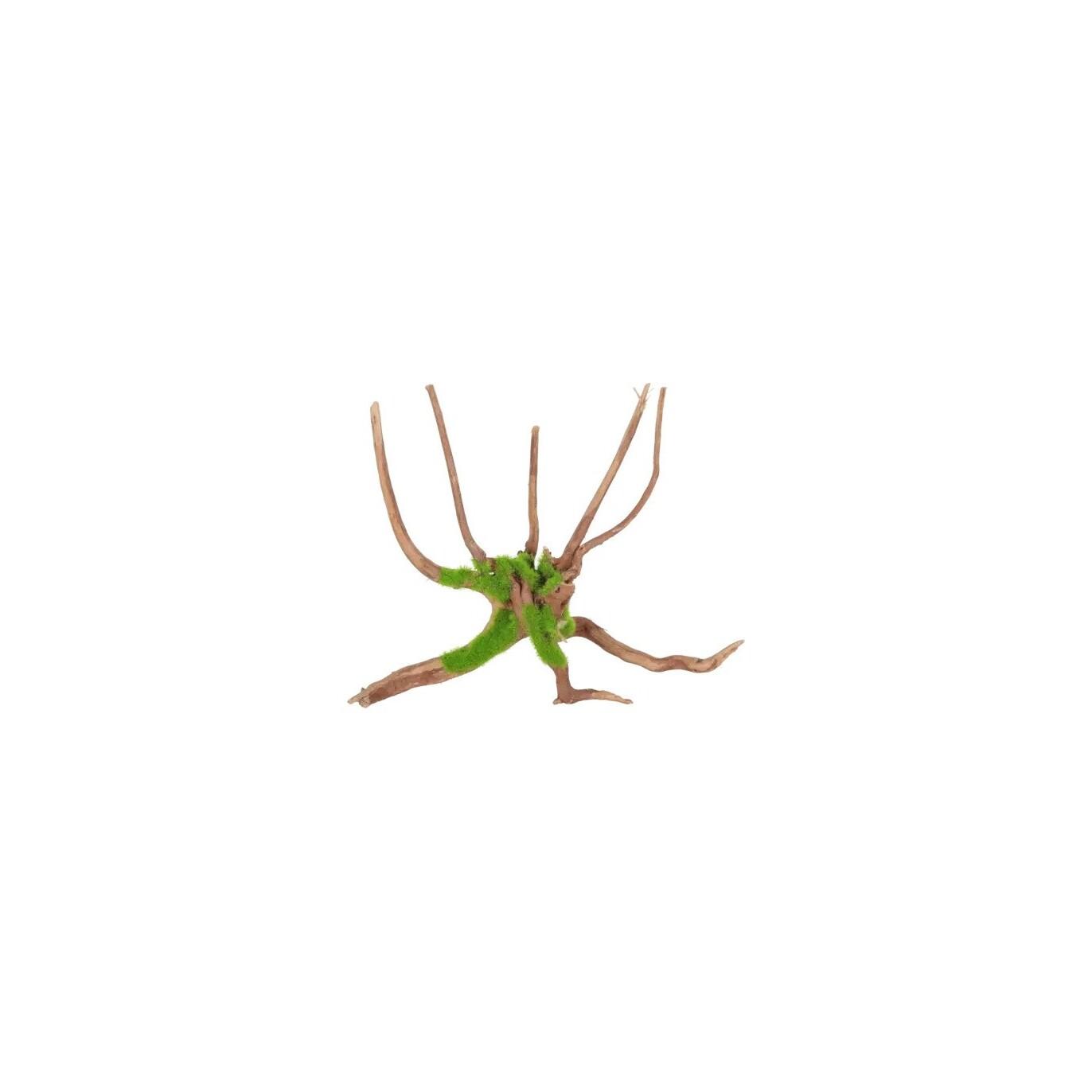 product/z/o/zolux_356056_marron_1.jpg