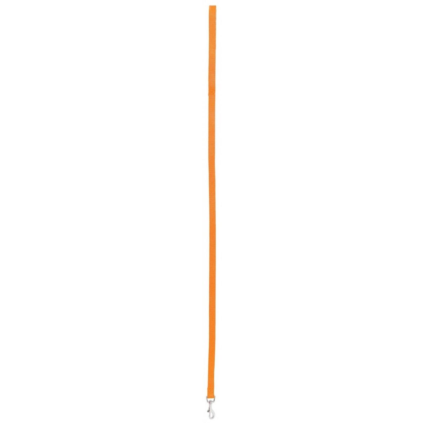 product/z/o/zolux_462020ora_orange-orange_1.jpg