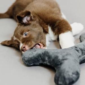 Jouets 