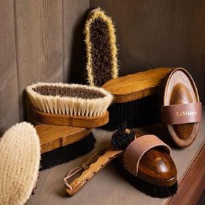Pansage et brosses 