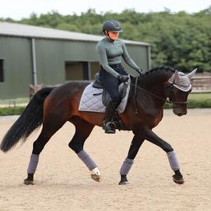Premier Equine