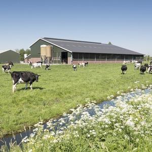 Ferme