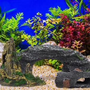 Terrarium