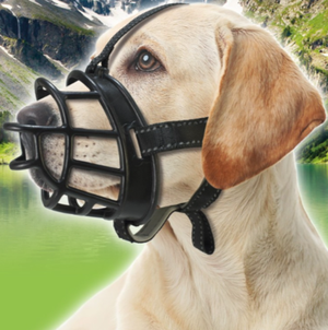 Accessoires