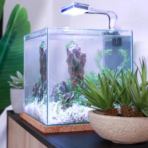 Aquariums