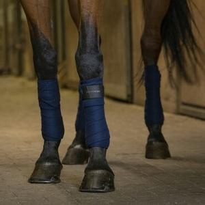 Bandes de polo