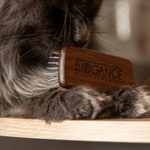 Brosse