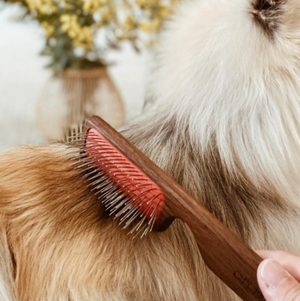 Brosses