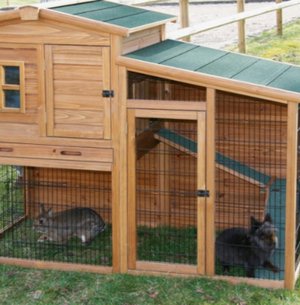 Cages et bac de rechange