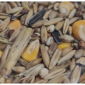 Compléments Alimentaires