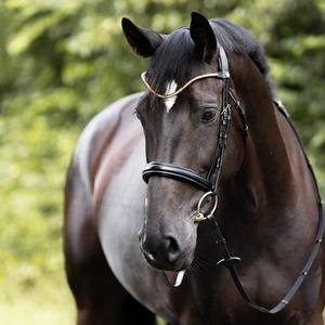Embouchures