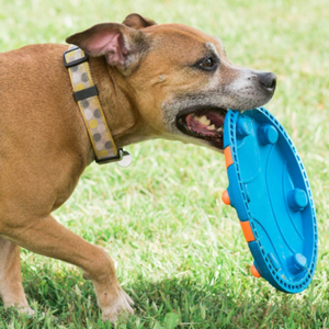 Frisbees