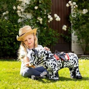 Autres accessoires