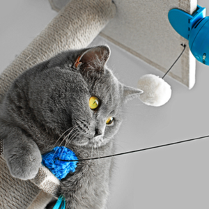 Jouets
