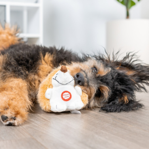 Peluche 