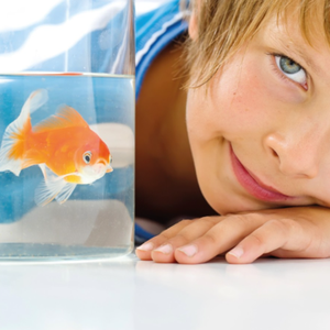 Poisson