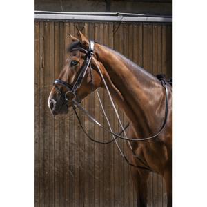 307670002-chambon-eric-thomas-pro-noir-tu