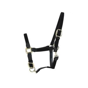 42516-01-licol-pour-cheval-nylon-tresse-kentucky-black