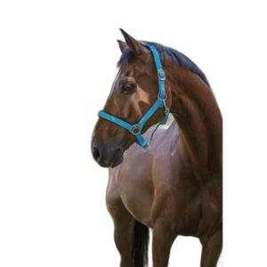 510013236-licol-pour-cheval-norton-fluo-bleu