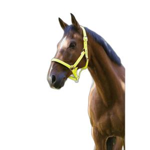 510013210-licol-pour-cheval-norton-fluo-jaune