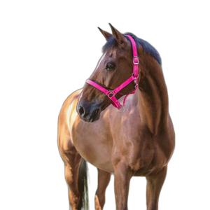 510013223-licol-pour-cheval-norton-fluo-rose