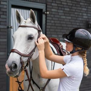 p700-br-bridons-equitation-presteq-faysport-marrron