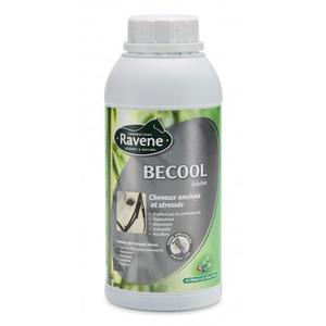 718032-complement-alimentaire-gestion-du-stress-pour-cheval-ravene-becool-transparent-500-ml