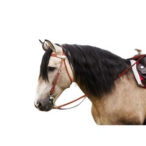 802061017-bridons-equitation-pour-cheval-randol-s-two-tone-noisette-naturel-cheval