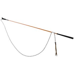 crcs01-orange-carrot-stick-t-de-t-orange-tu