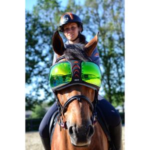 evysor5-lunettes-cheval-equick-evysor-green-tu