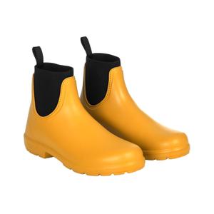 product/a/c/acavallo_ac850x-yellow_yellow_1.jpg