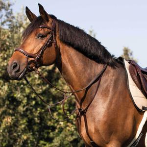 product/a/c/acavallo_ac9612-darkbrown_darkbrown_4.jpg
