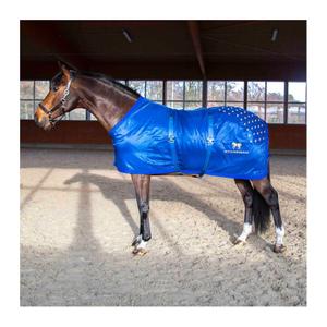 08500100-tapis-d-acupression-pour-le-dos-accuhorsemat-original-blue