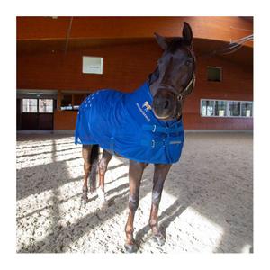 08500200-tapis-d-acupression-pour-le-dos-accuhorsemat-blue